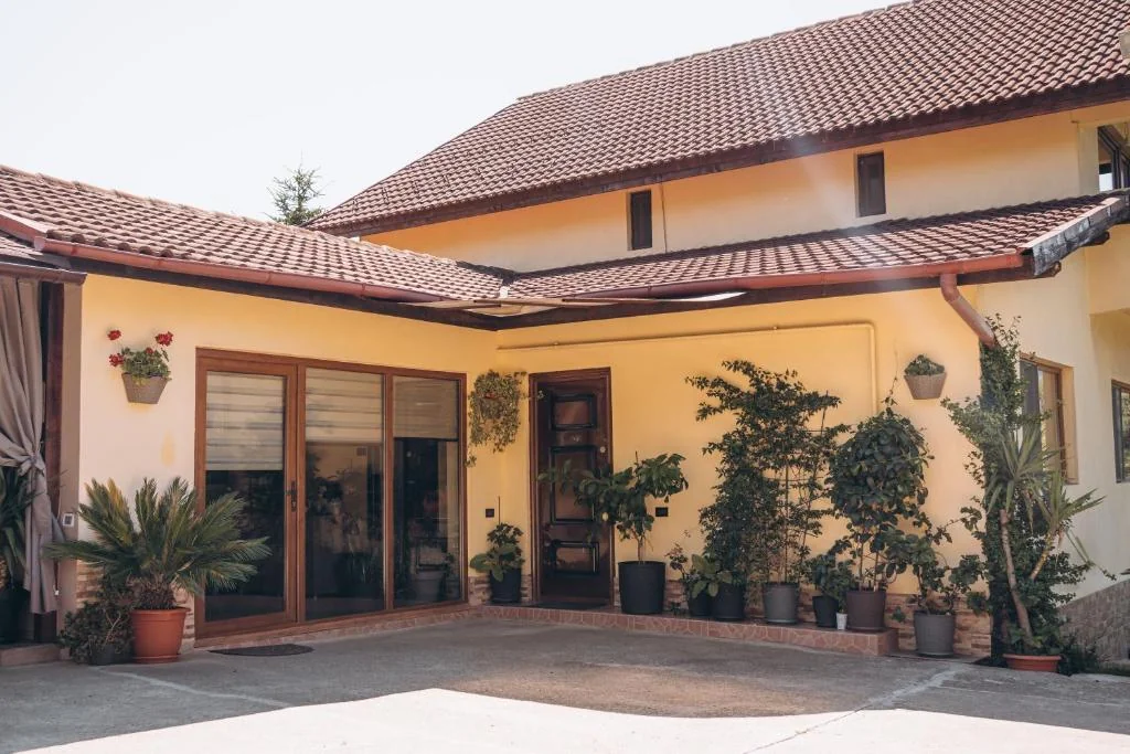 Casa cu Palmieri
