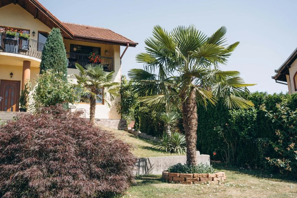 Casa cu Palmieri