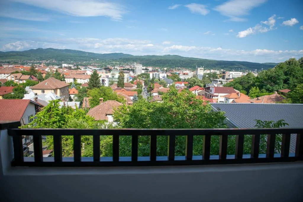 Hotel Panoramic