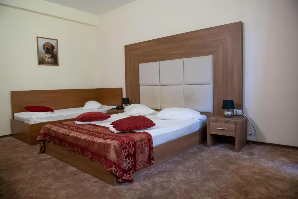 Hotel Panoramic