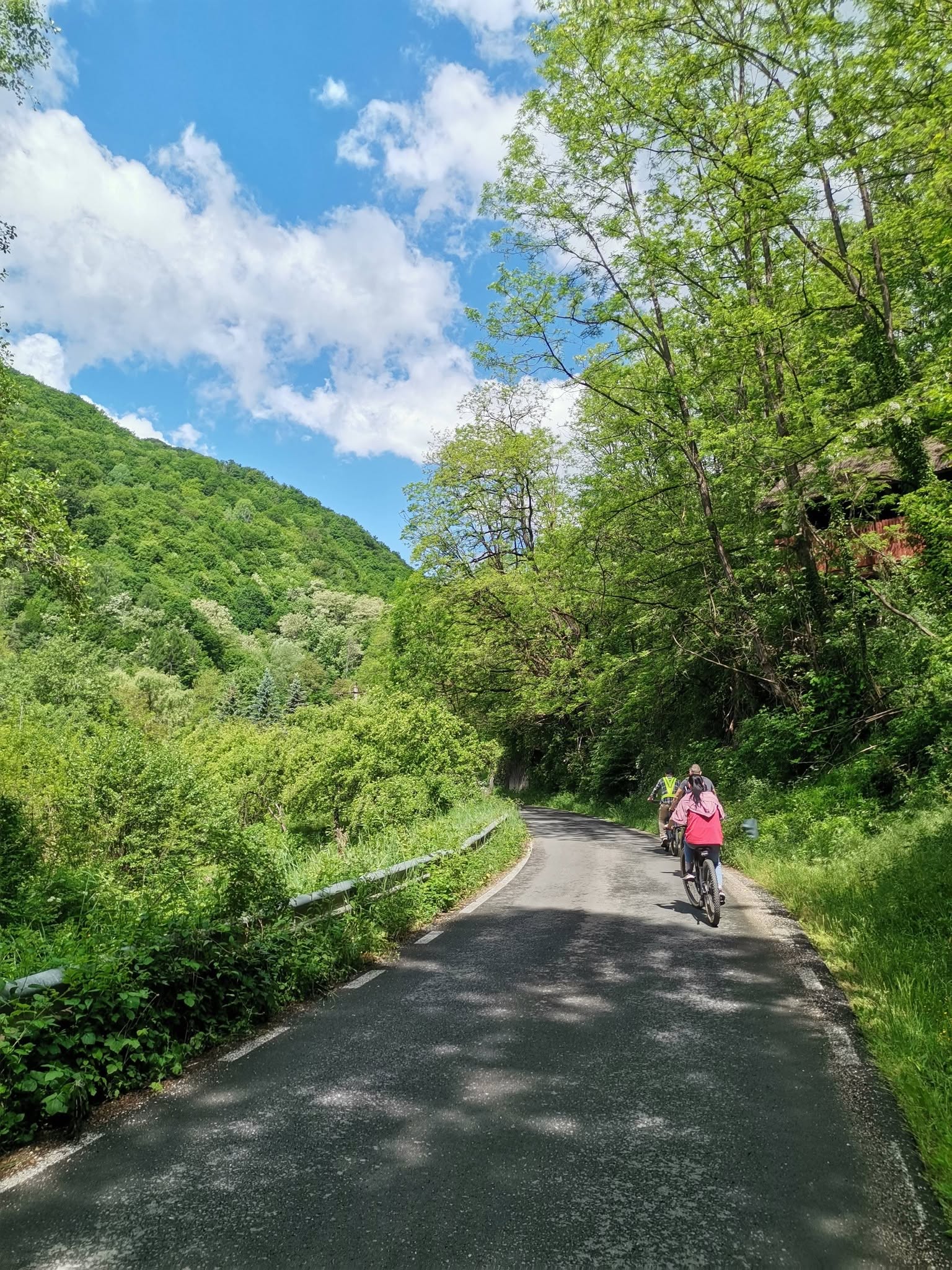 OZON BIKE – E-Bike Rental Poșaga