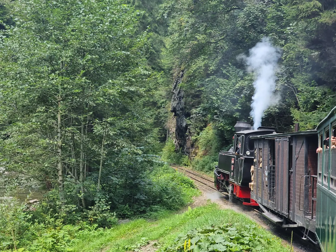 Mocănița Maramureș – Valea Vaserului