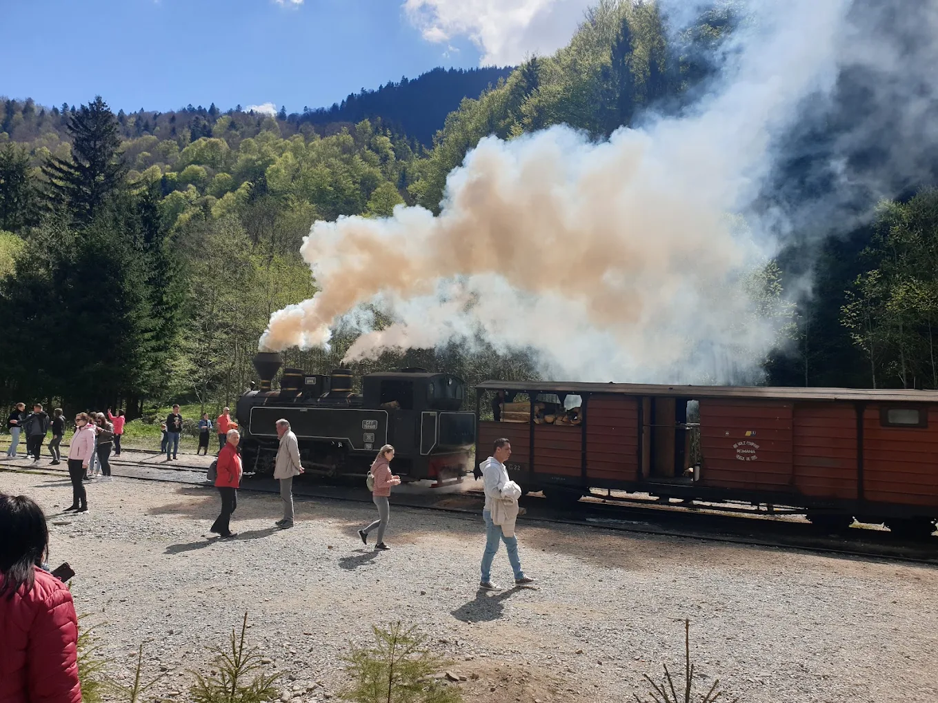 Mocănița Maramureș – Valea Vaserului